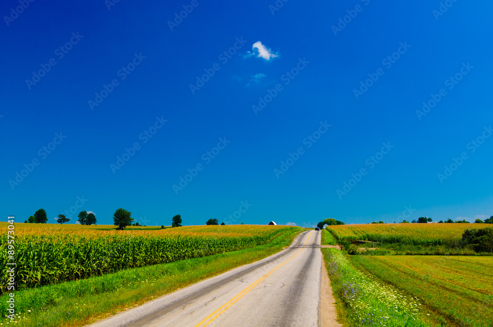 Obraz premium Car on a road between cornfields.