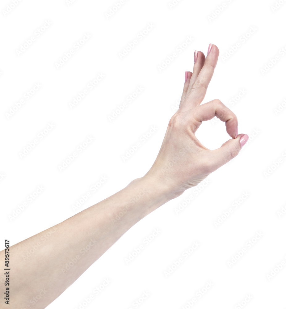 Female hands isolated on white background Female hands isolated on white background