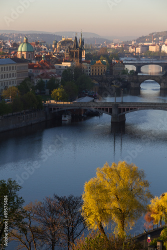 Prague Bridges Portrait