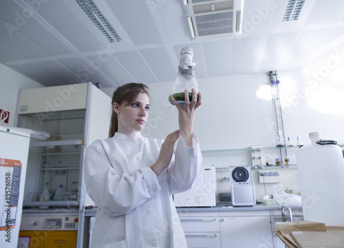 Young natural scientist watching algaculture in an Erlenmeyer flask photo