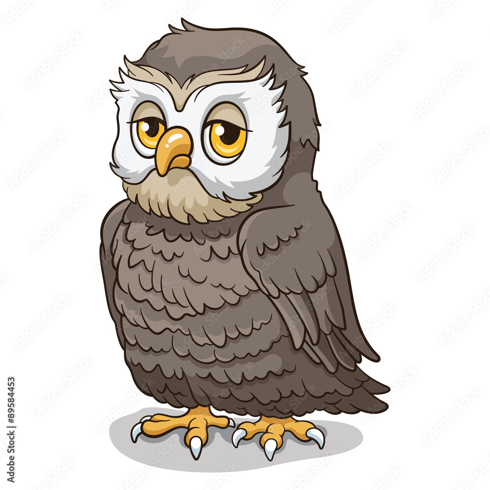 Fototapeta premium Owl 002