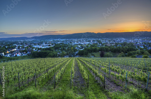 Wallpaper Mural Germany, Rhineland-Palatinate, Trier at blue hour Torontodigital.ca