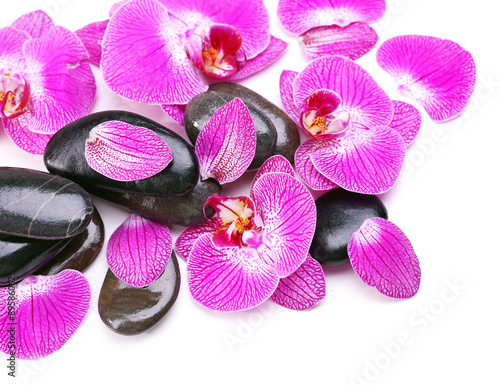 Violet orchid and zen stones isolated on white