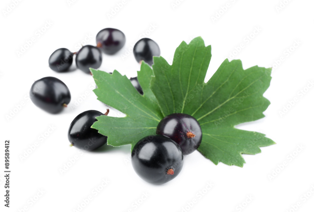 Heap of wild black currant with green leaves isolated on white Heap of wild black currant with green leaves isolated on white