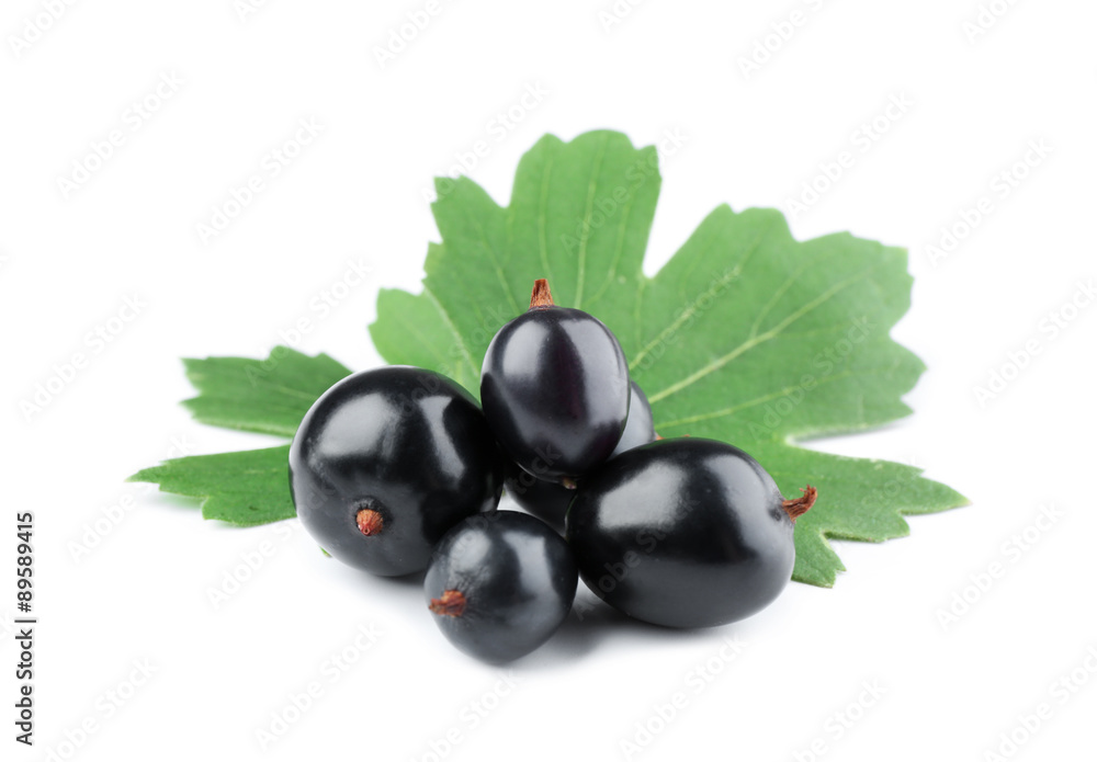 Heap of wild black currant with green leaves isolated on white Heap of wild black currant with green leaves isolated on white