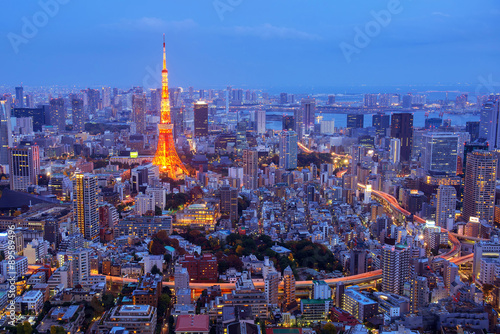 aerial night view of tokyo tower