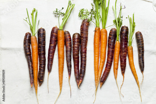 Row of carrots and Purple Haze on white cloth photo