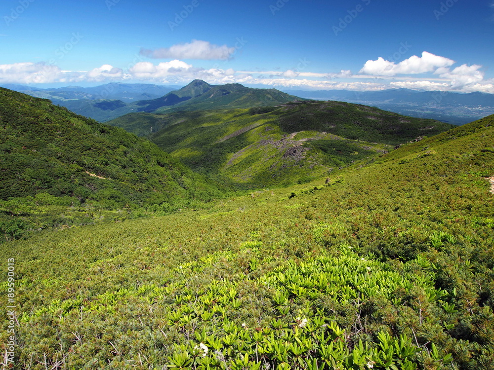 Fototapeta premium 天狗岳付近から蓼科山方面