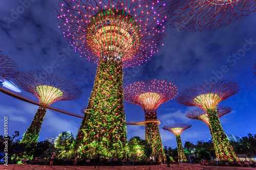 Singapore garden