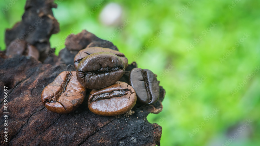Obraz premium Fresh coffee beans on wood background