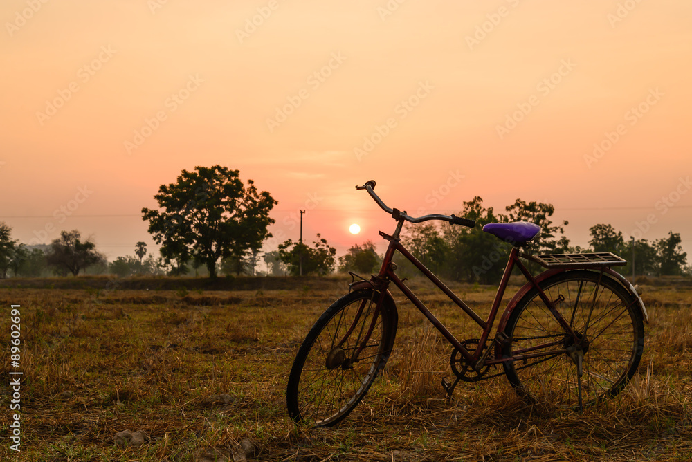 Vintage red bicycle with sunshine in morning.