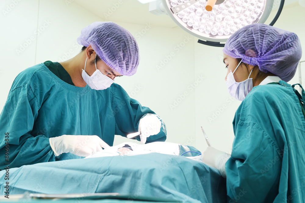 two veterinarian surgeons in operating room two veterinarian surgeons in operating room