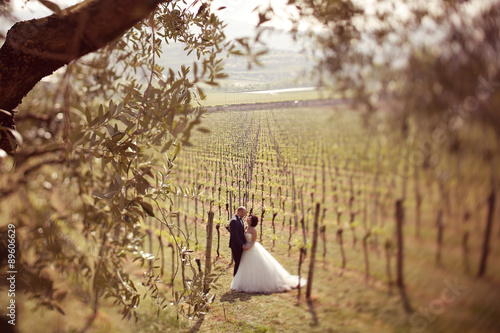 Bride and groom in a vineyard