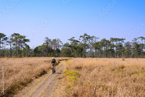 Cyclist rides on a gravel road in the middle of a pine forest.
