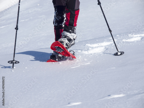 Snowshoes for walking in deep snow.