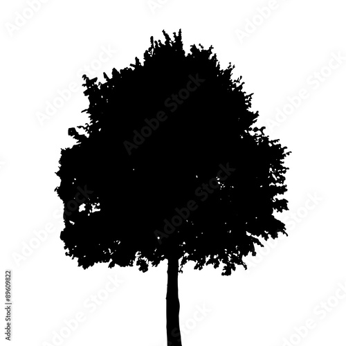 Tree Silhouette Isolated on White Background. Vector Illustratio
