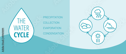 The water cycle