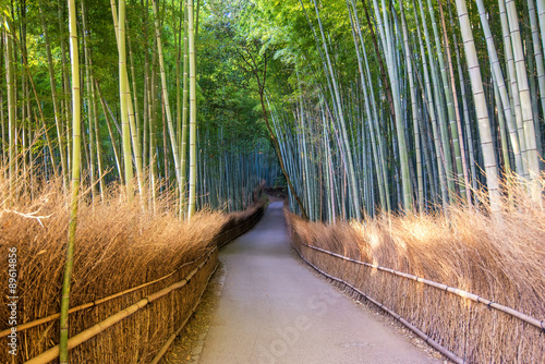 Fototapeta Naklejka Na Ścianę i Meble -  The Arashiyama Bamboo Grove of Kyoto, Japan.
