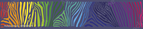 Background with multicolored Zebra skin 