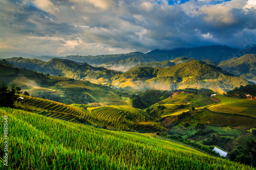 Rice terraces