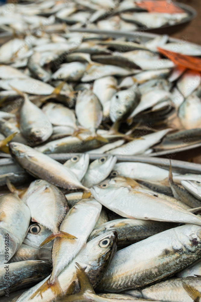 Obraz premium fresh fish at market on sale
