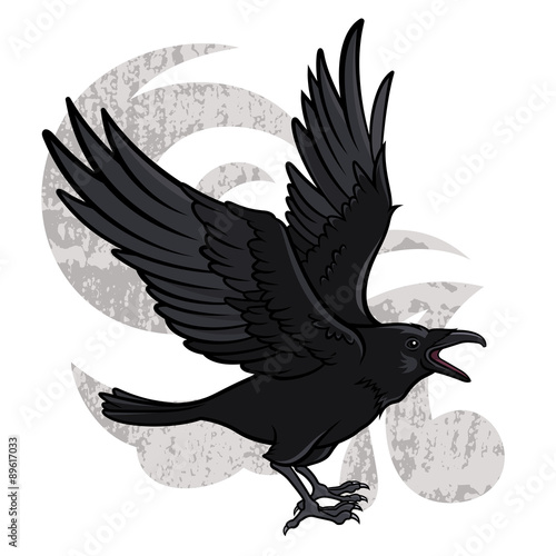 Raven 002