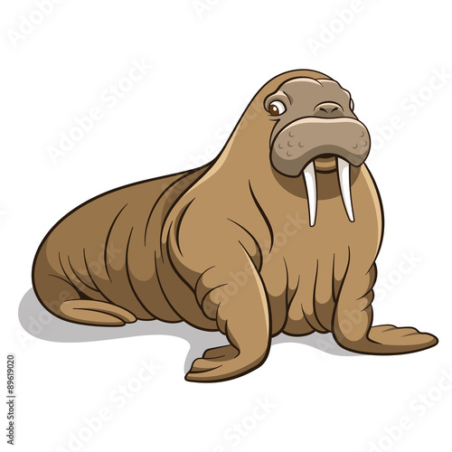 Walrus 001