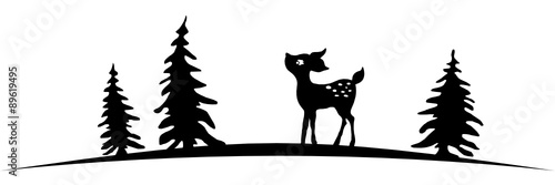 Rehkitz im Wald