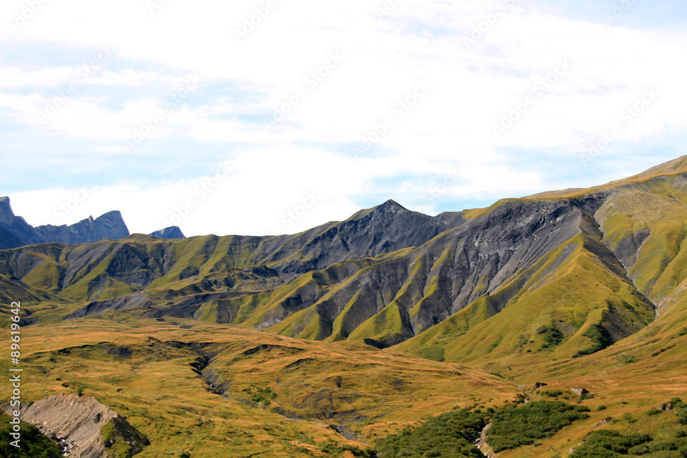 Fototapeta premium les aiguilles d'arves 21082015