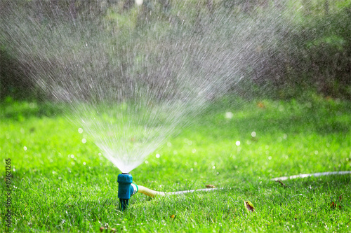 Lawn sprinkler spraying water over grass