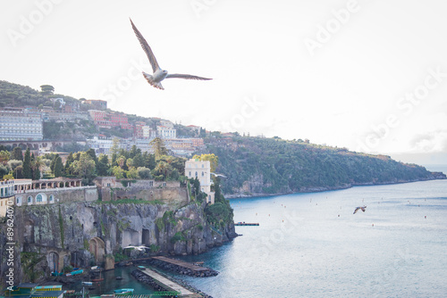 Wallpaper Mural Sorrento is a village and comune on the Amalfi Coast, in Campania, Italy Torontodigital.ca