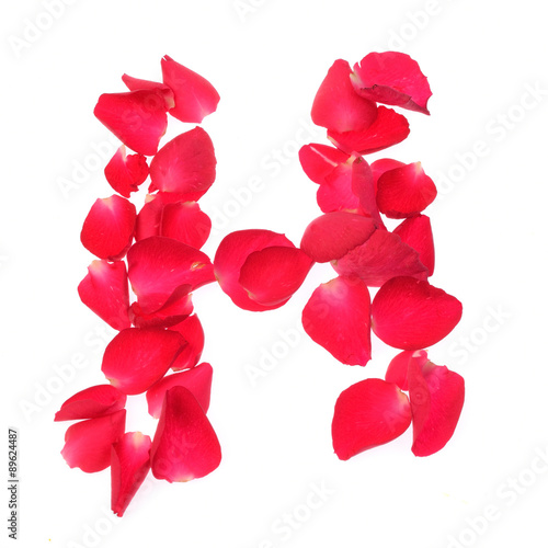 rose petals isolated on white background