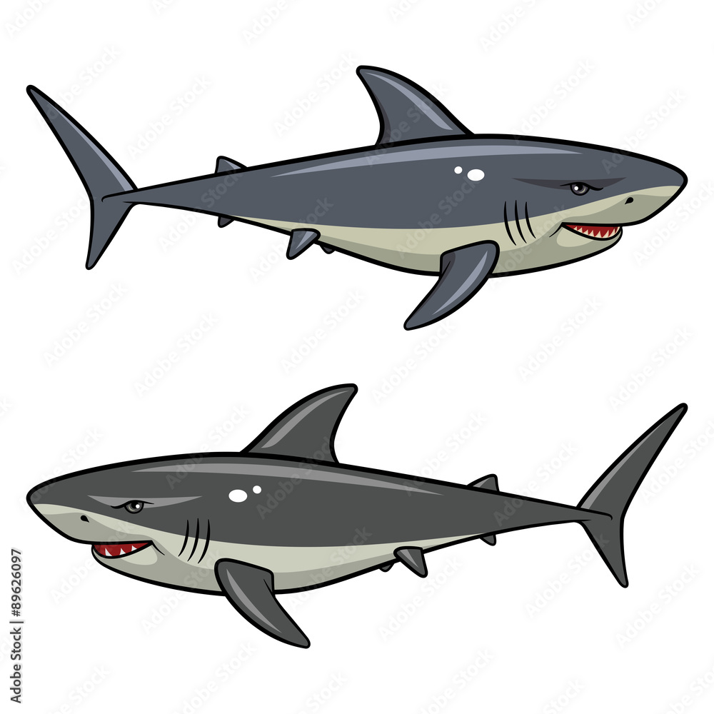 Naklejka premium Shark 002