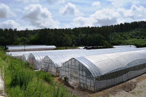 農業用ビニールハウス／山形県の庄内地方で、色々な農業用ビニールハウスの風景を撮影した写真です。