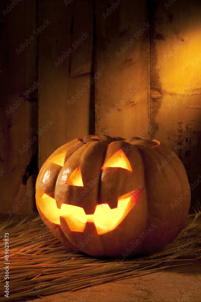 Obraz premium vegetables