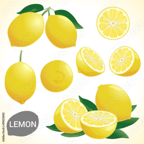 Set of fresh yellow lemon fruit in various styles vector format