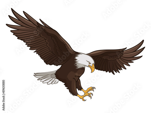 Eagle 001