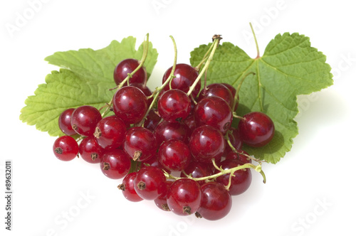 Johannisbeeren; Rote, Ribes, rubrum