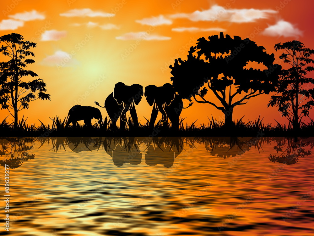 Elefanti al caldo Sole Africano