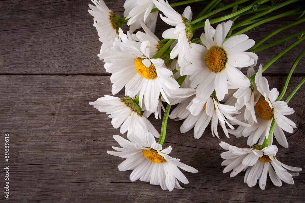 Obraz premium Leucanthemum vulgare on a wooden table