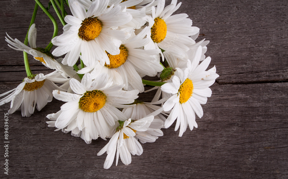 Obraz premium Leucanthemum vulgare on a wooden table