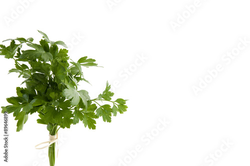 fresh green parsley