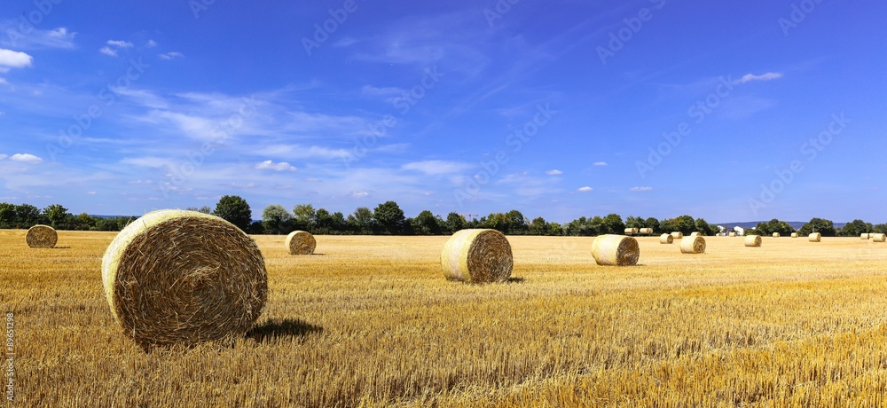 Strohballen Heuballen Panorama.