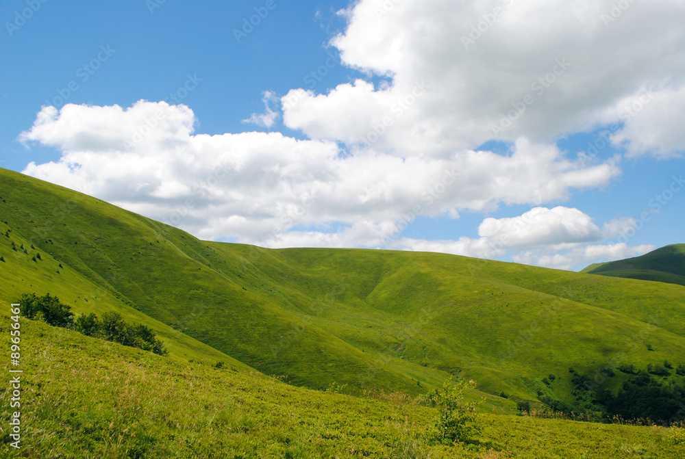 landscape of Ukraine