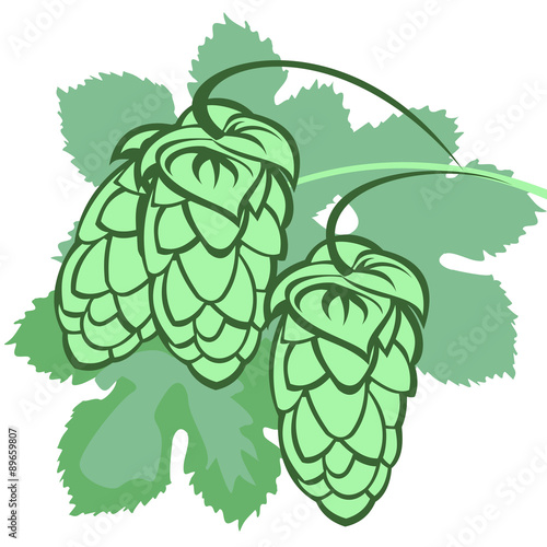 Hop cones
