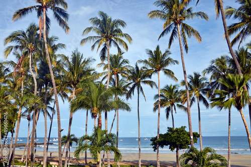 View of tropical beach