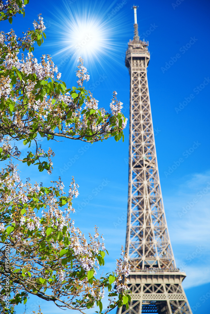 Eiffel Tower symbol of Paris Eiffel Tower symbol of Paris