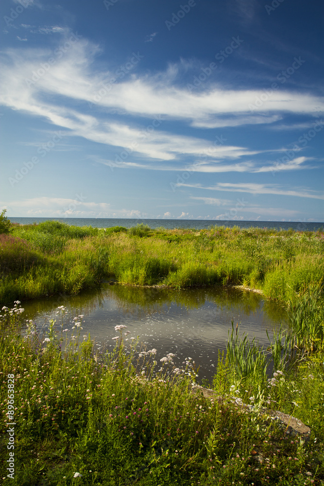Baltic Sea in summer . beautiful scenery Baltic Sea in summer . beautiful scenery
