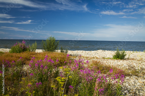 Fototapeta Naklejka Na Ścianę i Meble -  Baltic Sea in summer . beautiful scenery