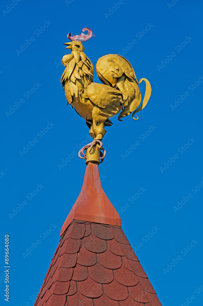 Obraz premium Windvane